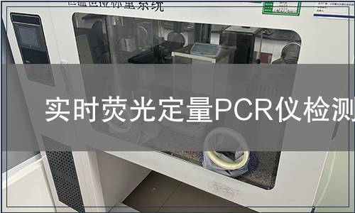 实时荧光定量PCR仪检测