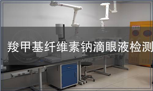 羧甲基纤维素钠滴眼液检测