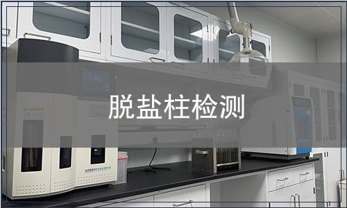 脱盐柱检测