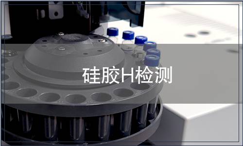 硅胶H检测