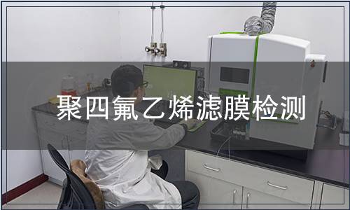 聚四氟乙烯滤膜检测