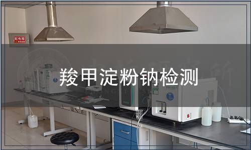 羧甲淀粉钠检测