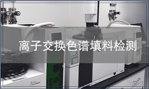 离子交换色谱填料检测