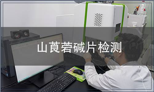 山莨菪碱片检测