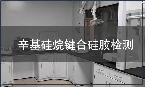 辛基硅烷键合硅胶检测