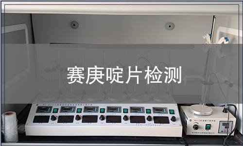 赛庚啶片检测