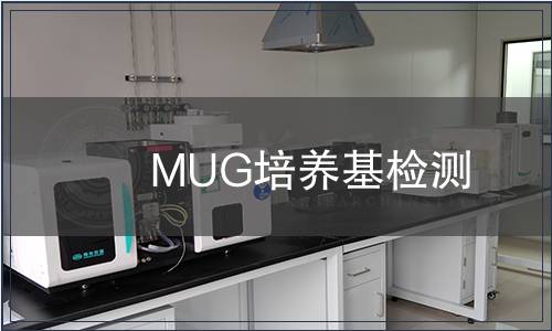 MUG培养基检测