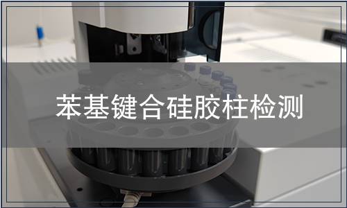 苯基键合硅胶柱检测
