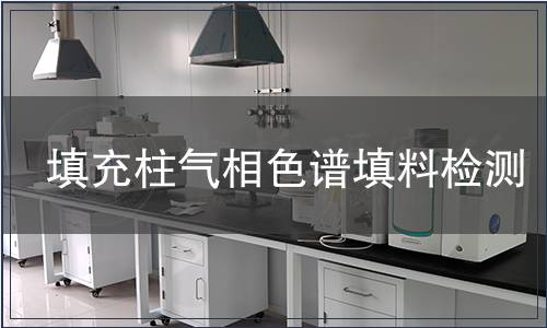 填充柱气相色谱填料检测