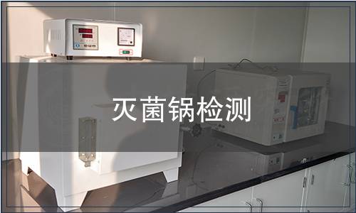 灭菌锅检测
