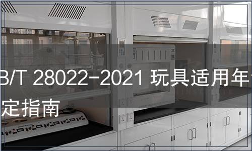 GB/T 28022-2021 玩具适用年龄判定指南