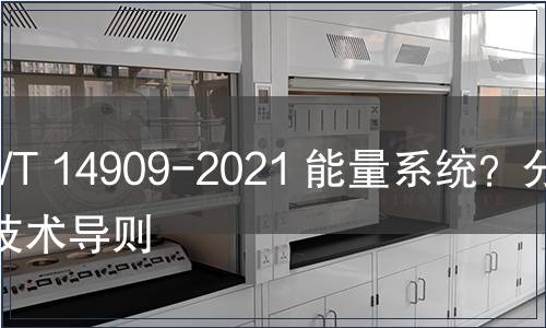 GB/T 14909-2021 能量系统？分析技术导则