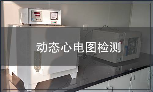 动态心电图检测