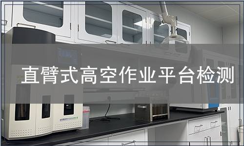 直臂式高空作业平台检测