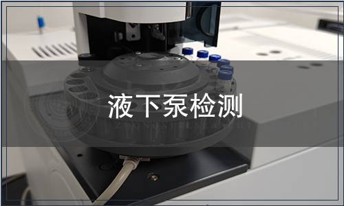 液下泵检测