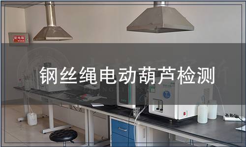 钢丝绳电动葫芦检测