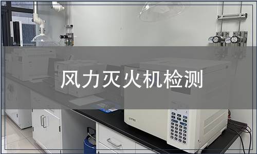 风力灭火机检测