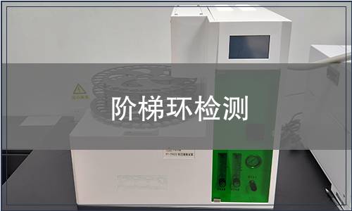 阶梯环检测