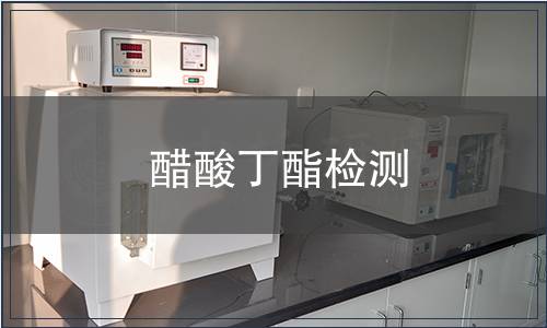 醋酸丁酯检测