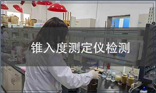 锥入度测定仪检测