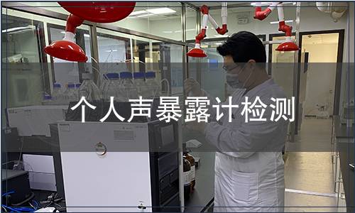 个人声暴露计检测