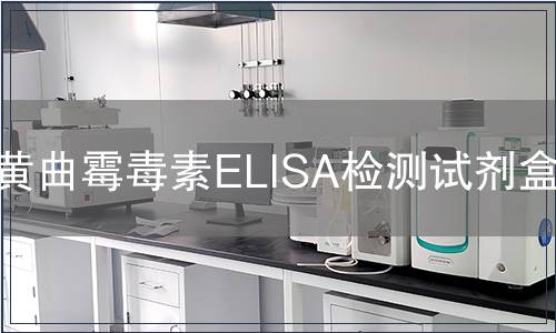 黄曲霉毒素ELISA检测试剂盒检测