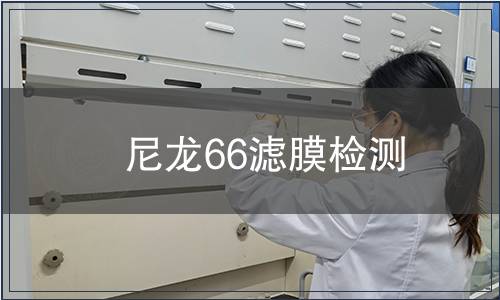 尼龙66滤膜检测