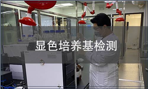 显色培养基检测