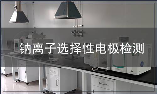 钠离子选择性电极检测