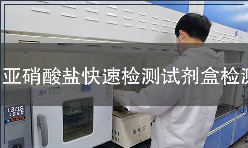 亚硝酸盐快速检测试剂盒检测