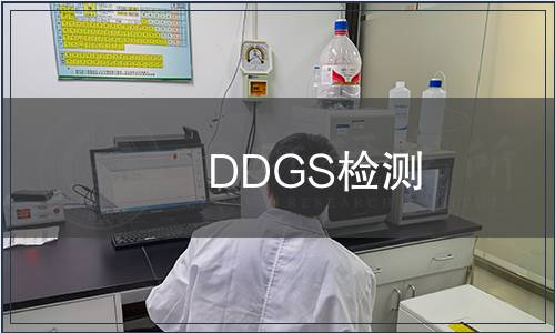 DDGS检测