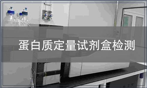 蛋白质定量试剂盒检测