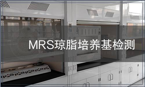 MRS琼脂培养基检测