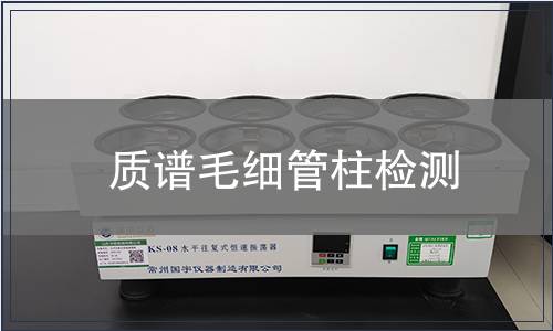 质谱毛细管柱检测