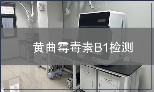 黄曲霉毒素B1检测