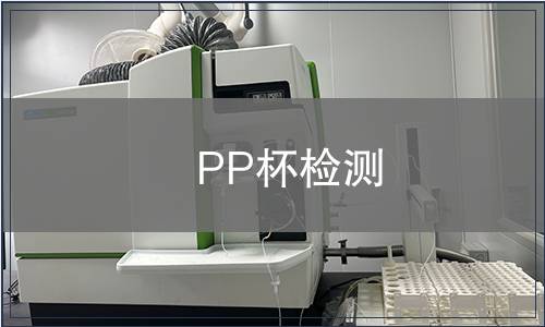 PP杯检测