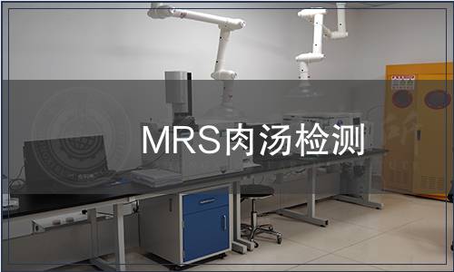 MRS肉汤检测