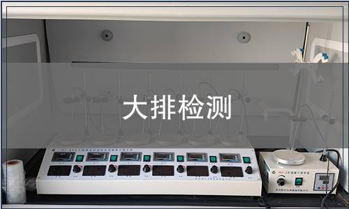 大排检测
