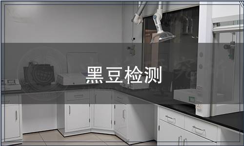黑豆检测