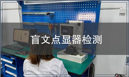 盲文点显器检测