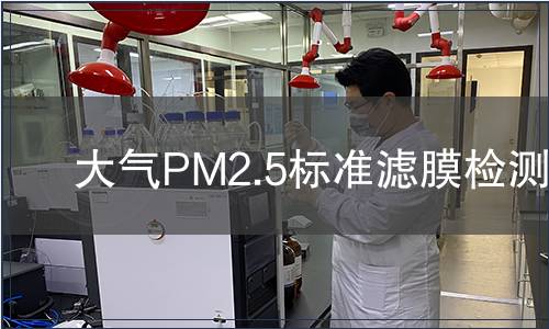 大气PM2.5标准滤膜检测