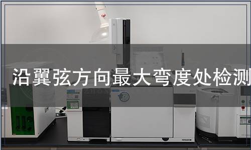 沿翼弦方向最大弯度处检测