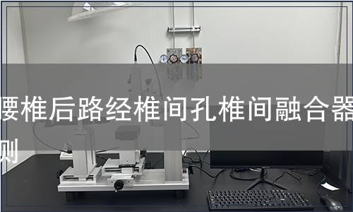 胸腰椎后路经椎间孔椎间融合器检测