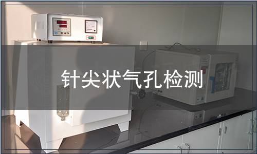 针尖状气孔检测