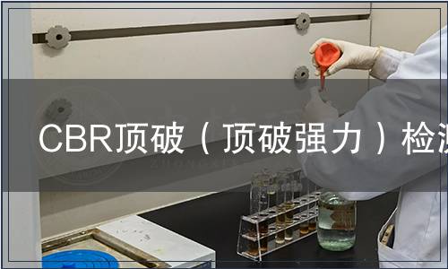 CBR顶破（顶破强力）检测
