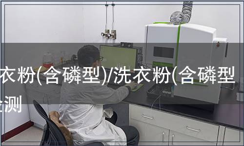 洗衣粉(含磷型)/洗衣粉(含磷型)检测
