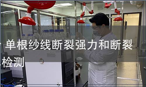 卷装纱 单根纱线断裂强力和断裂伸长率检测