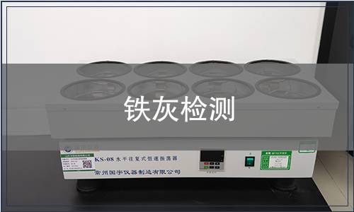 铁灰检测