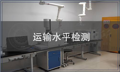 运输水平检测