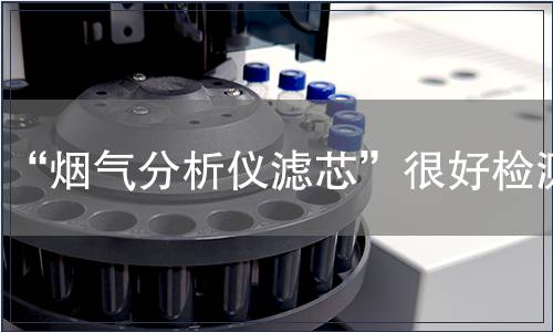 “烟气分析仪滤芯”很好检测